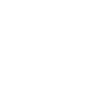 Item-Icon